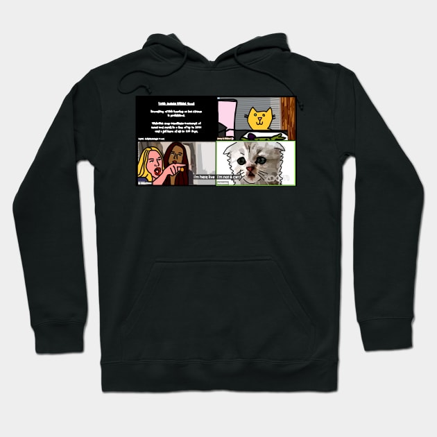 Cat Lawyer on Zoom Call with Woman Yelling at a Cat Memes Hoodie by ellenhenryart